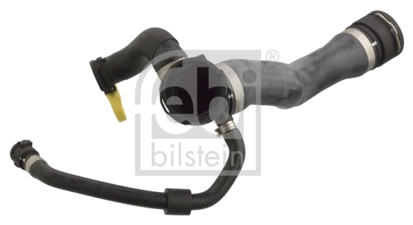 Radiator Hose